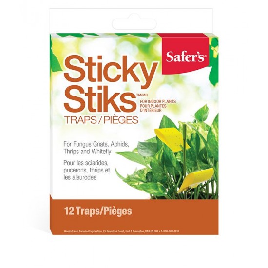 Sticky sticks - plant traps (fungus gnats)