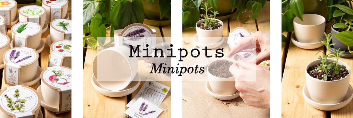Minipots