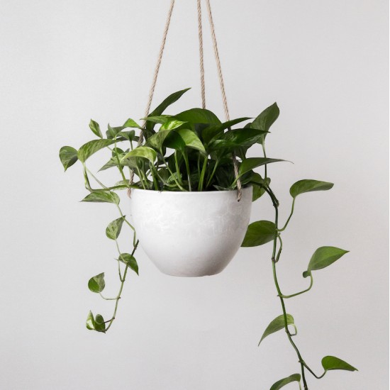 White stone hanging planter 8 in