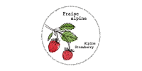 Minipot alpine strawberry recycled fibers