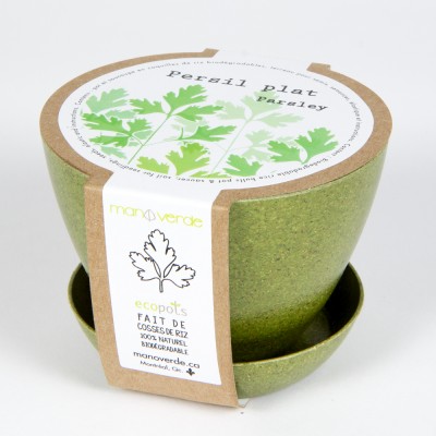 Minipot parsley biodegradable